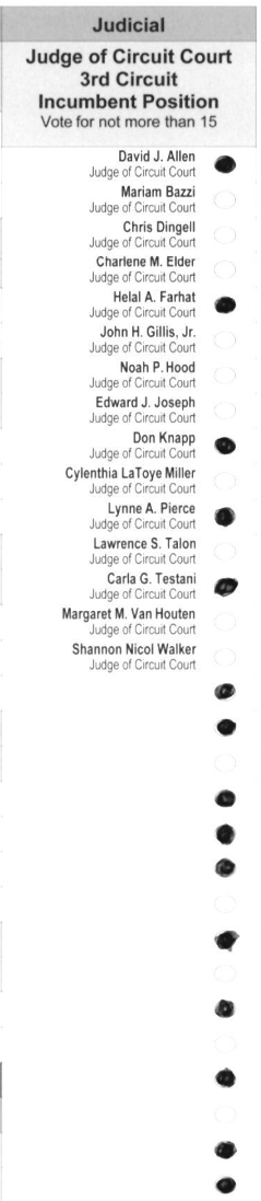 Primary-style BMD ballot example 13